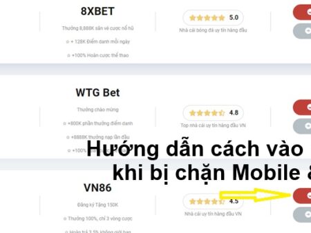 Hướng dẫn cách vào nhà cái khi bị chặn Mobile & PC